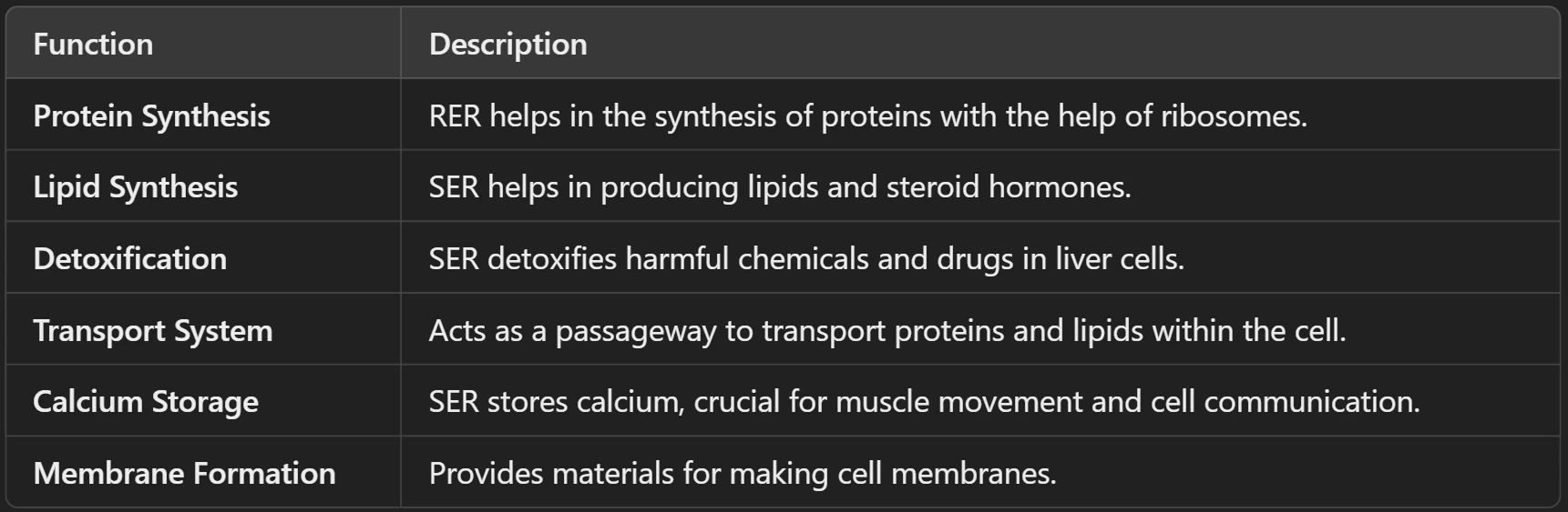 Functions of Endoplasmic Reticulum